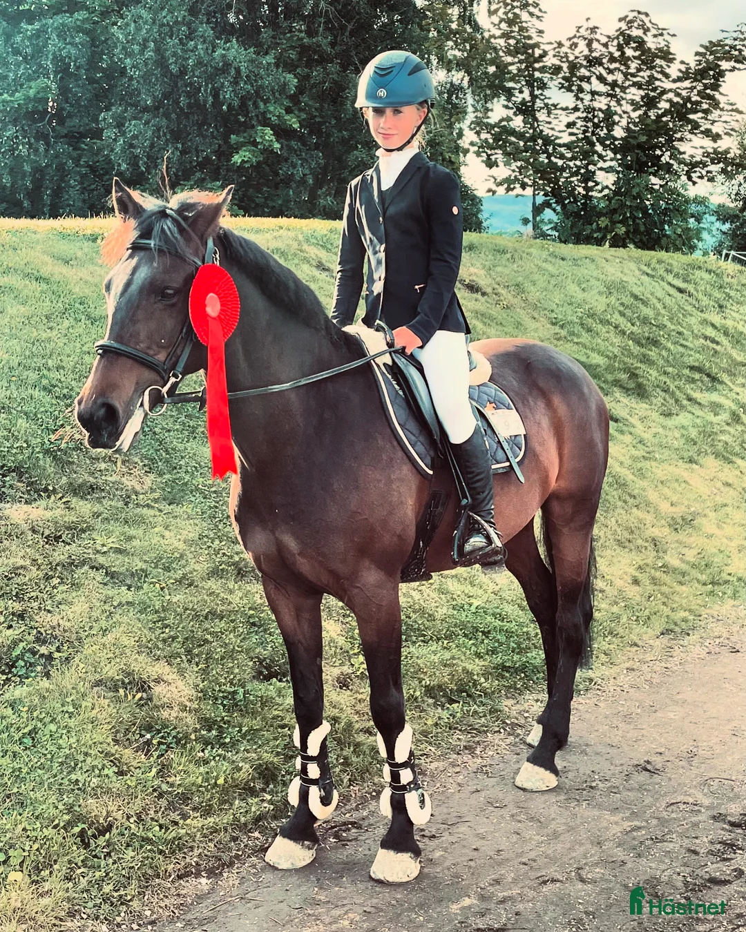 Hoppning hästar till salu: Sprangponni til salgs i Kråkerøy - Annons 1