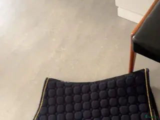 Schabrak & Vojlockar hästutrustning Equiline, vestrum, equestrian stockholm - Annons 5