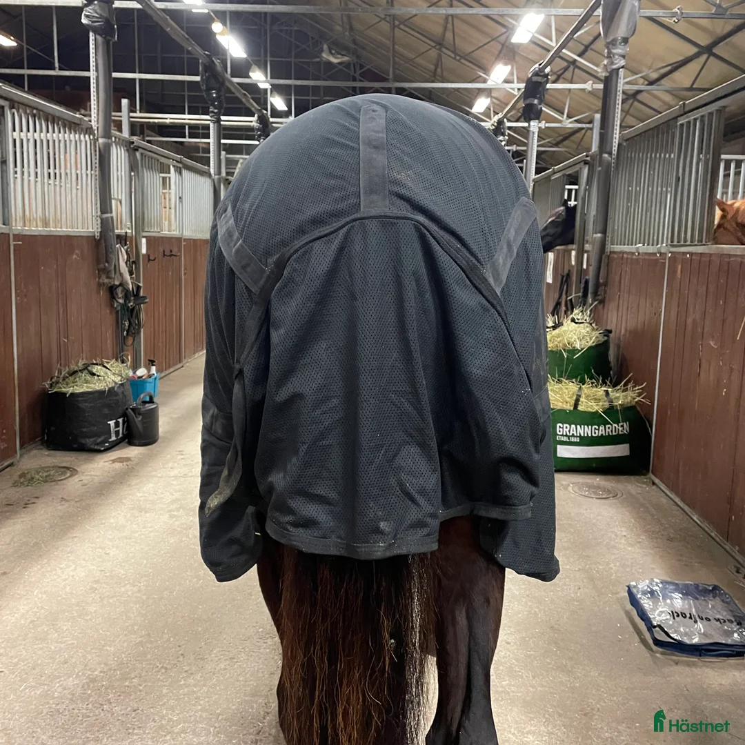 Täcken hästutrustning till salu: Nättäcke från Back On Track i Gamleby - Annons 4