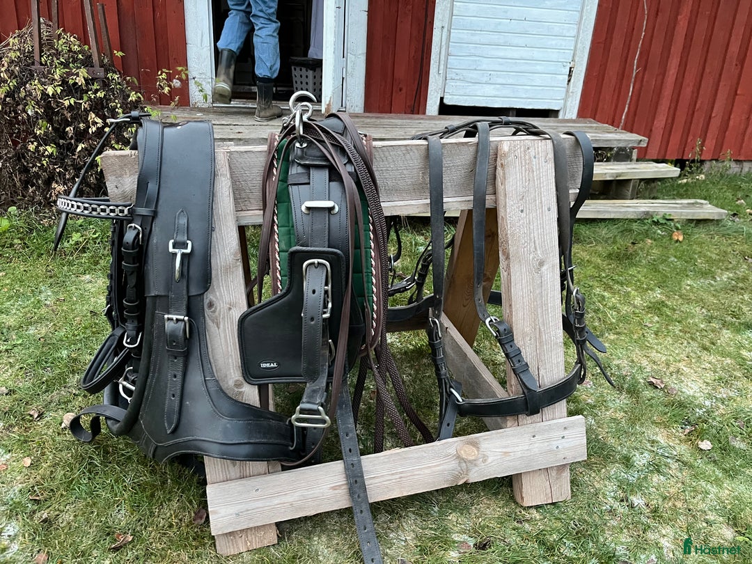 Körselar körning till salu: Maratonsele med fransk brösta storlek Shire i Västra Ämtervik - Annons 2