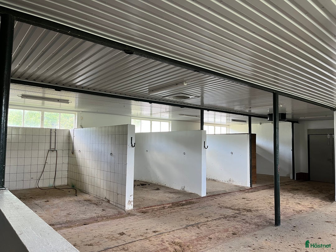  hästgårdar till salu: Uthyres ridanläggning i Floby - Annons 3