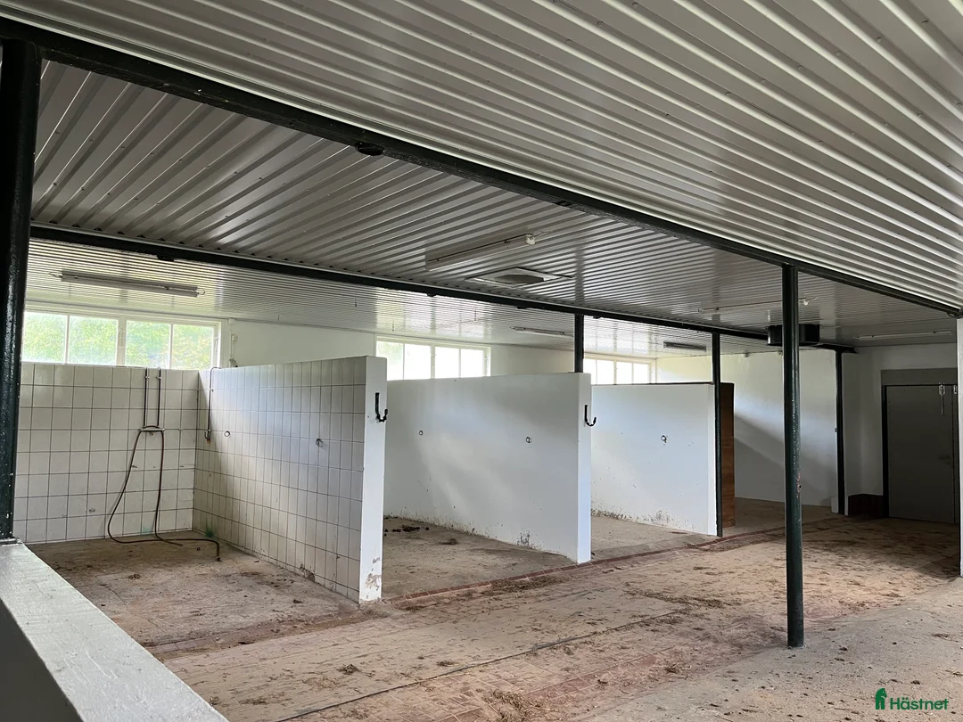  hästgårdar till salu: Uthyres ridanläggning i Floby - Annons 3