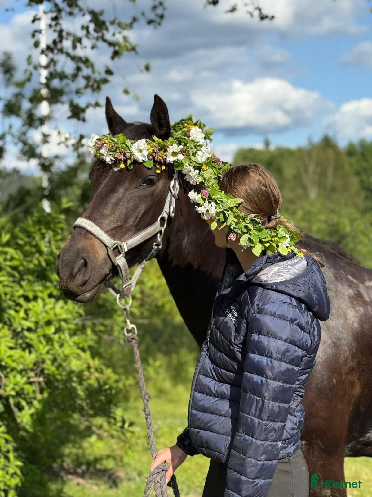  hästar Charmig New forest - Annons 18