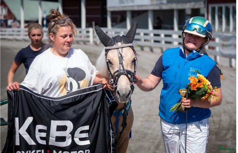 Galleribild {{count}}