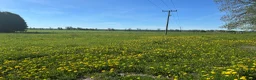  stallplats finnes: Sommarbete finnes - Annons 3