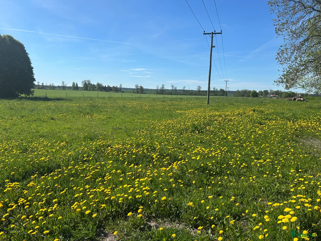  stallplats finnes: Sommarbete finnes - Annons 3