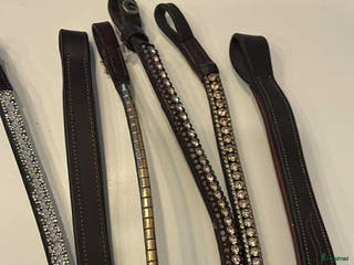 Träns hästutrustning till salu: Sex bruna pannband i Söderköping - Annons 21