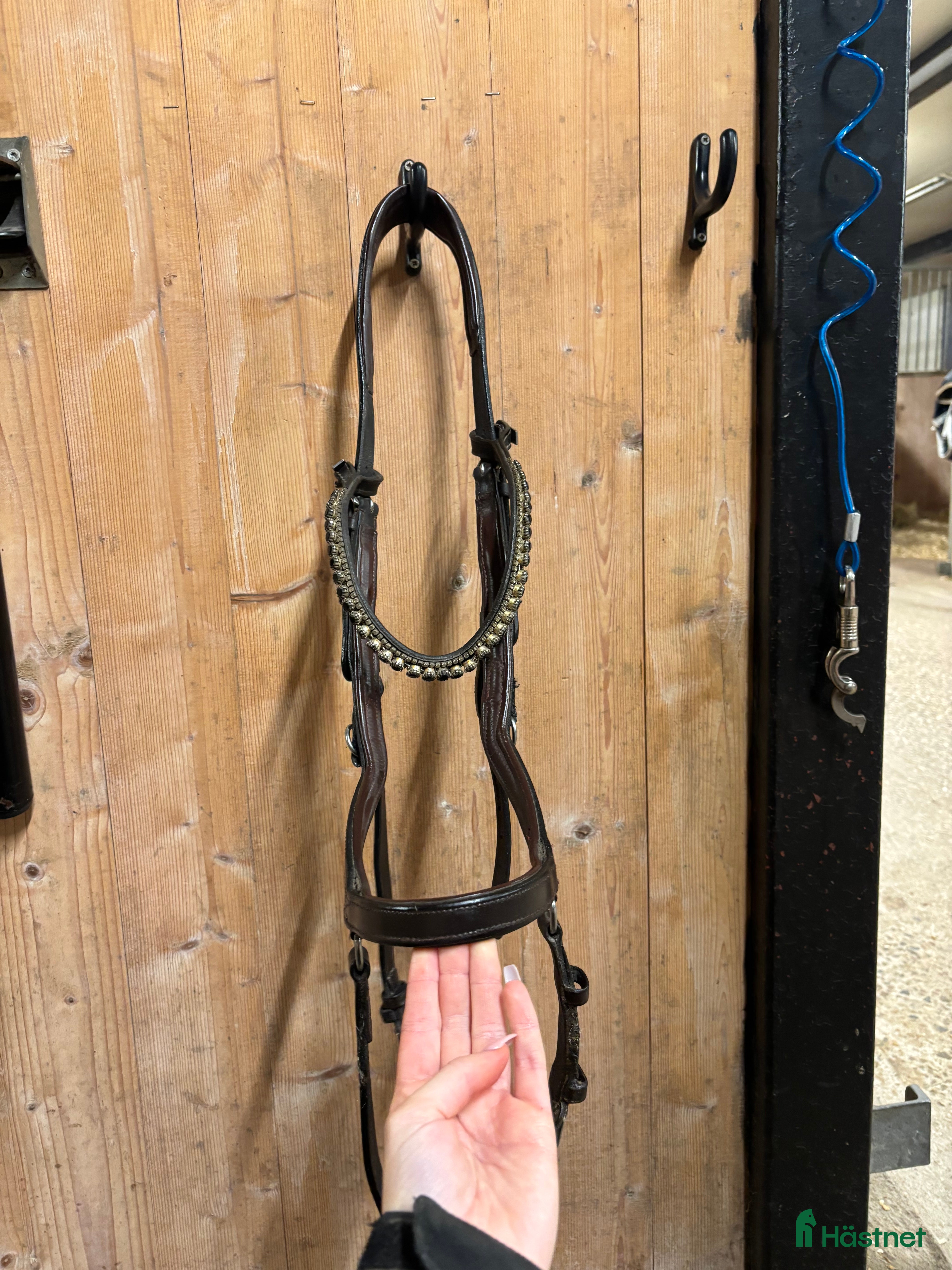 Träns hästutrustning till salu: Träns 🥰 - Annons 3