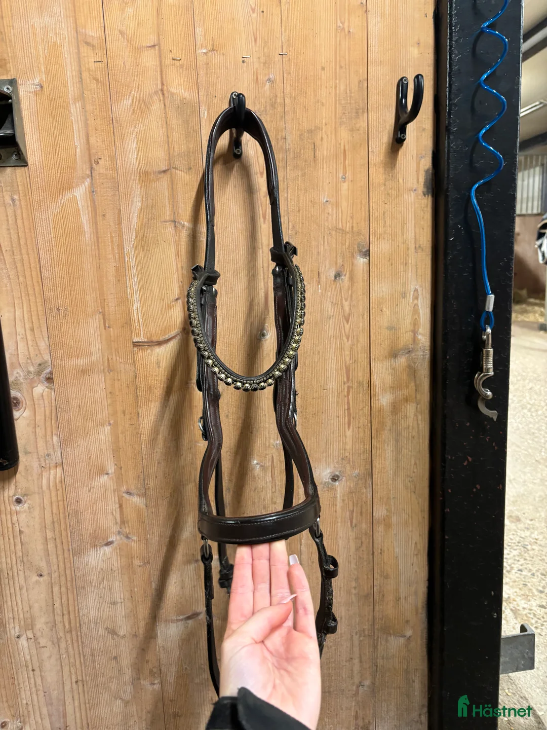 Träns hästutrustning till salu: Träns 🥰 - Annons 1