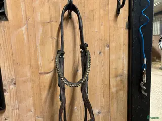 Träns hästutrustning till salu: Träns 🥰 - Annons 3