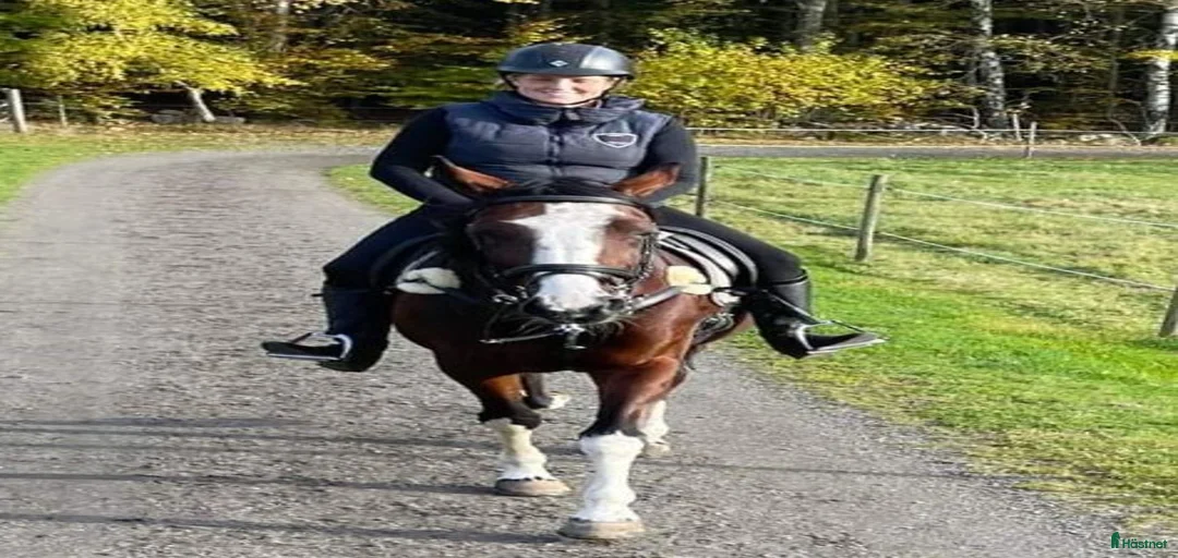 Galleribild {{count}}