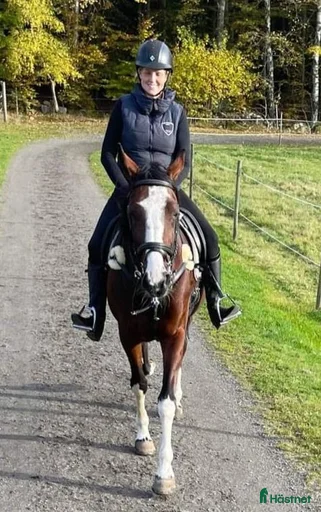 Galleribild {{count}}