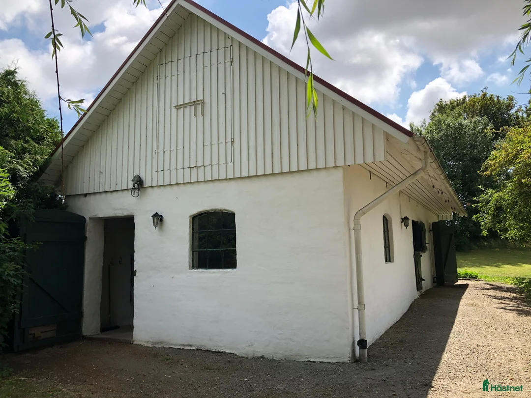 stallplats finnes: Ledig boxplats till ponny/ islandshäst - Annons 5