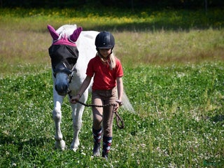 hästar Vi söker foder häst/ponny i Hudiksvall - Annons 9