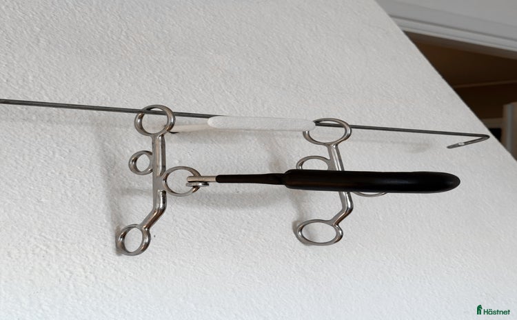 Övrig Hästutrustning hästutrustning till salu i Siljansnäs - Annons 18