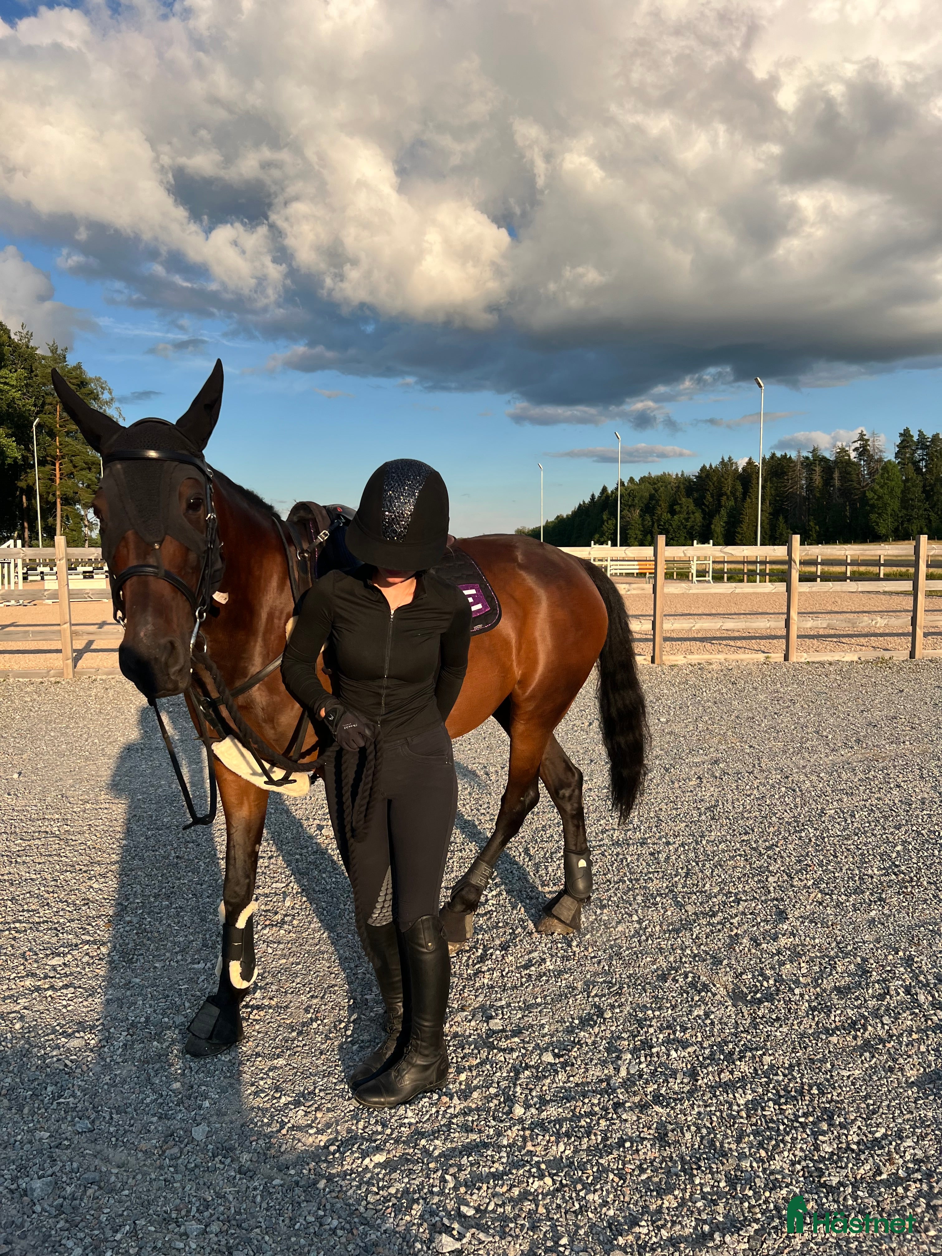 Hjälmar ryttarutrustning till salu: Charles owen sp8 i Strängnäs - Annons 7