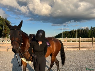 Hjälmar ryttarutrustning till salu: Charles owen sp8 i Strängnäs - Annons 2