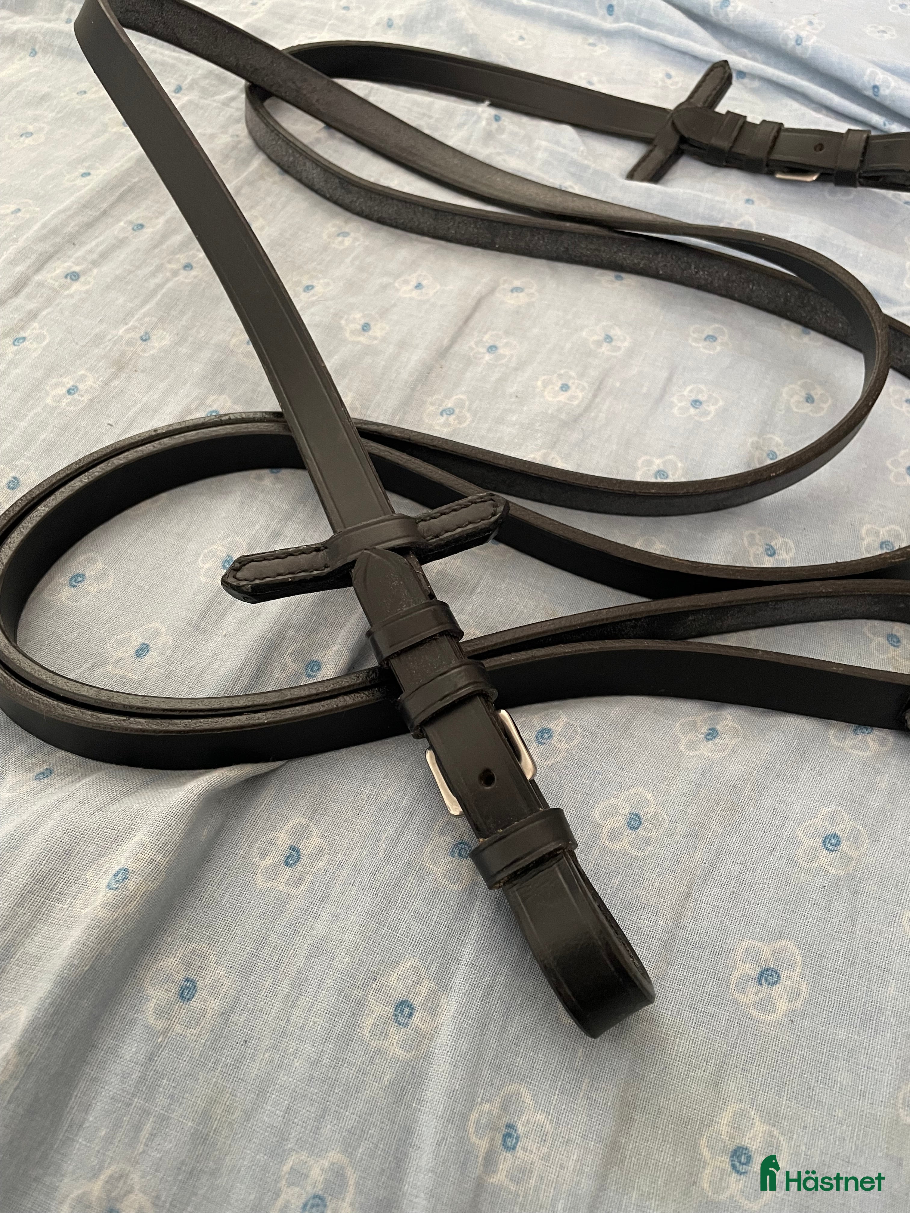 Träns hästutrustning Nya lädertyglar - Annons 17