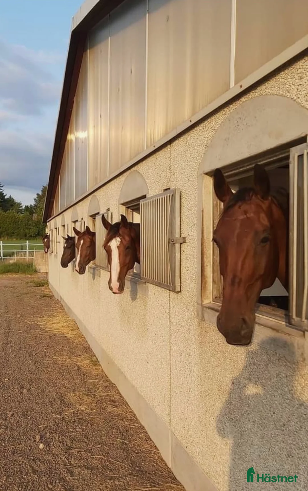  stallplats finnes: Stallplatser i Ekeby  i Ekeby - Annons 1