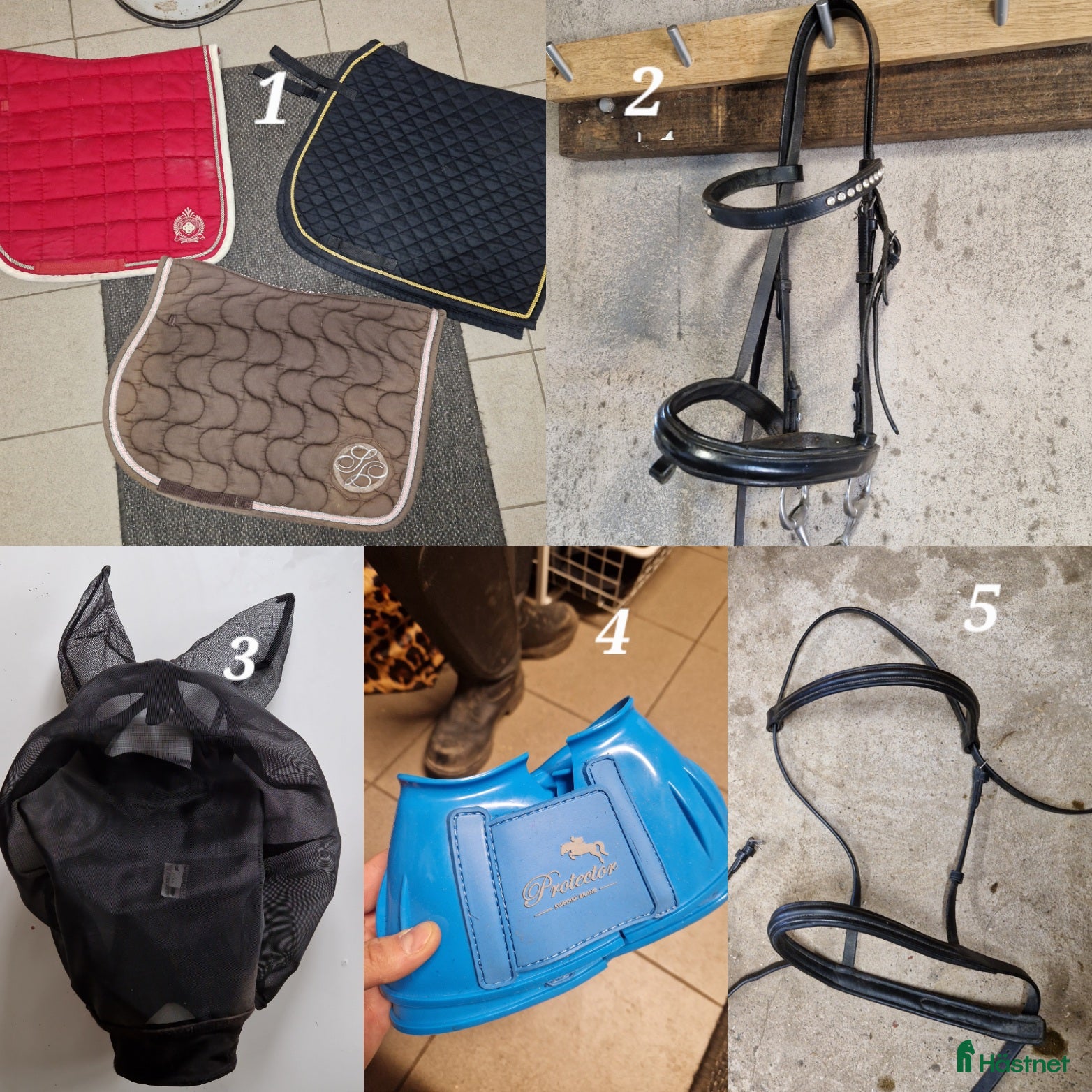 Övrig Hästutrustning hästutrustning till salu: Hästutrusning i Motala - Annons 4