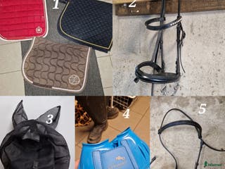 Övrig Hästutrustning hästutrustning till salu: Hästutrusning i Motala - Annons 12