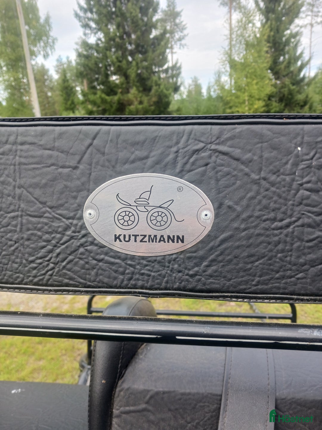 Körvagnar körning till salu: Gigg Kutzmann i Blåsmark - Annons 5