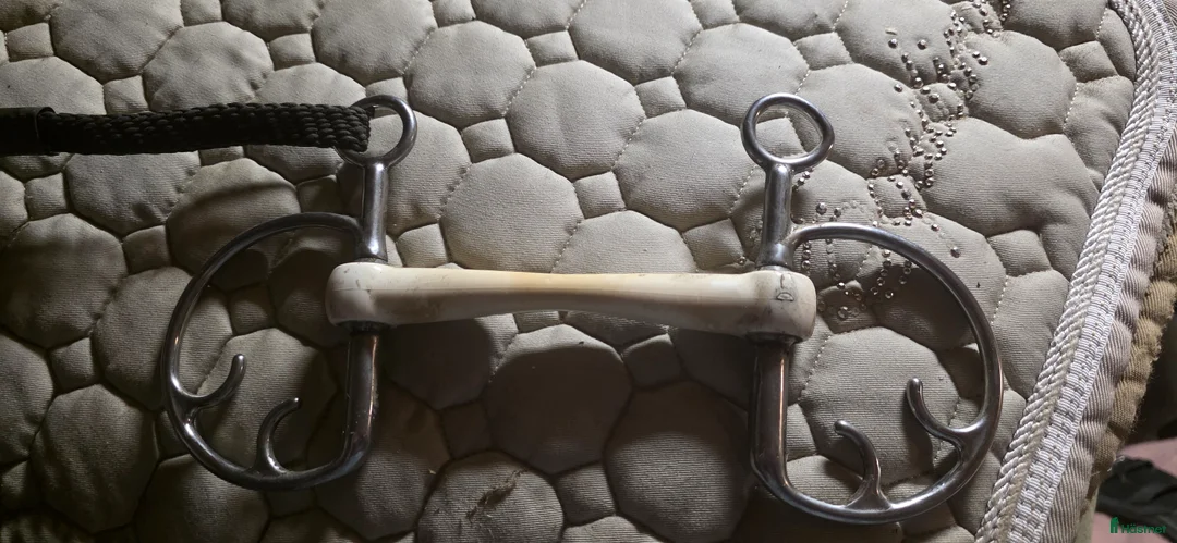 Bett hästutrustning till salu: Flippanbett , rakt gummibett - Annons 1