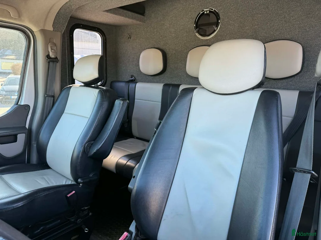 Hästlastbilar  fordon & transport till salu: MTM hästlastbil 5 säten Automat Låg skatt  - Annons 17