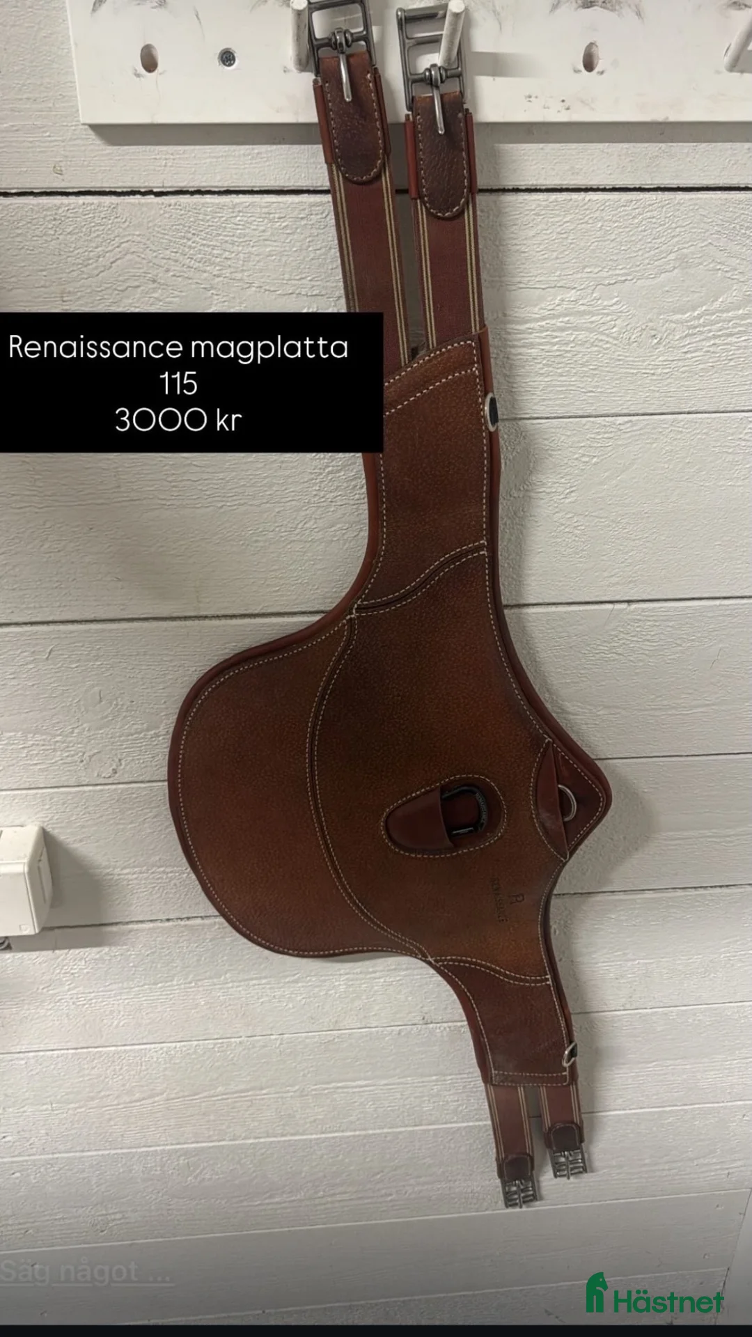 Sadeltillbehör hästutrustning till salu: renaissance magplatta  - Annons 1