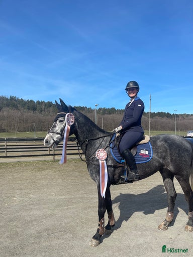 Galleribild {{count}}