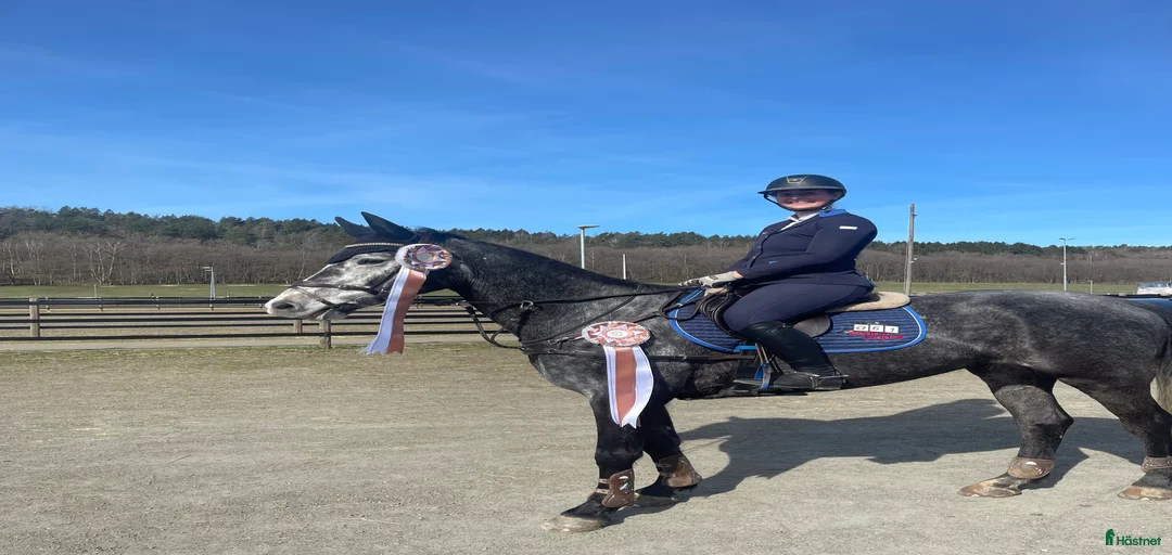 Galleribild {{count}}