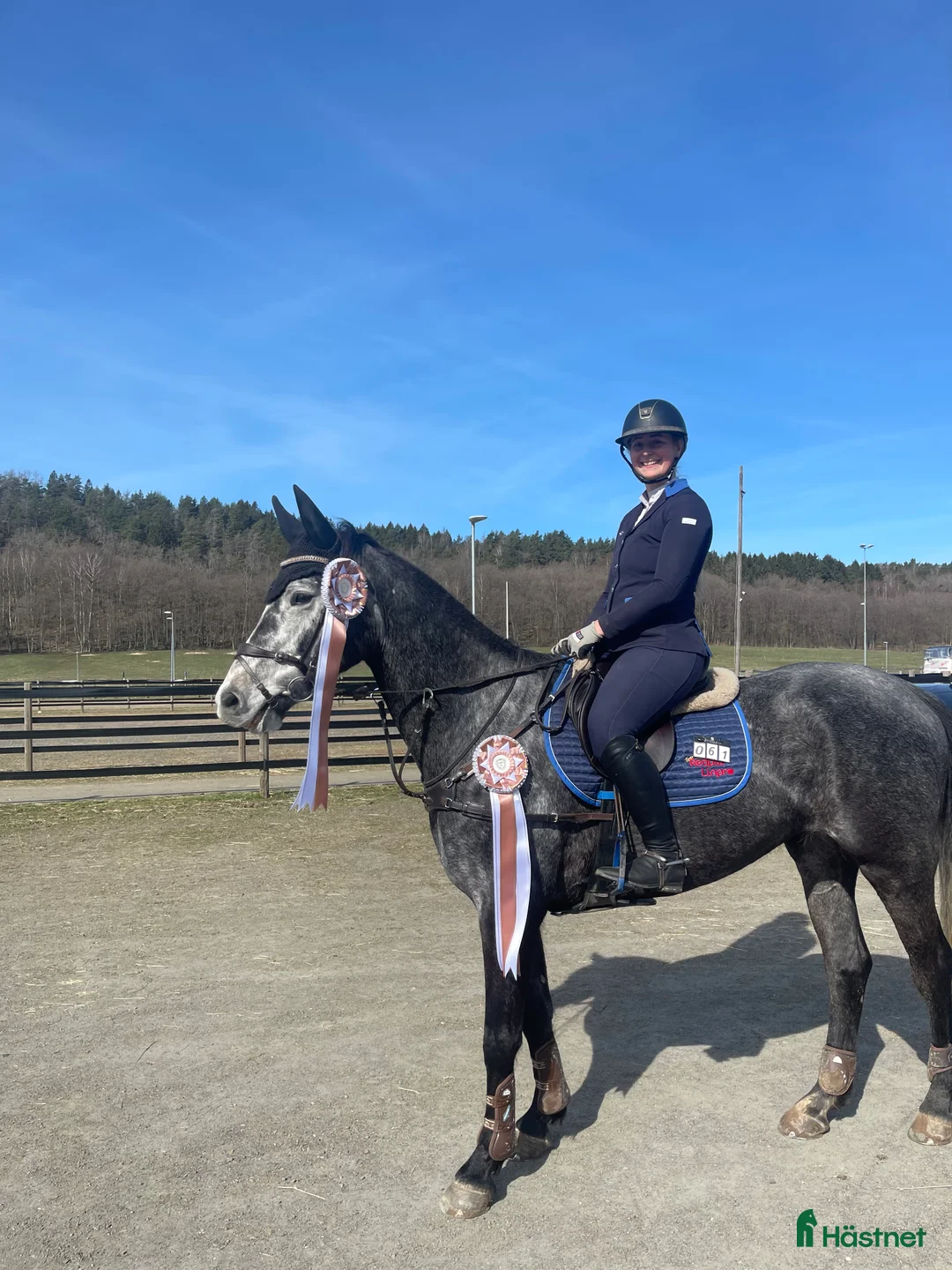 Galleribild {{count}}