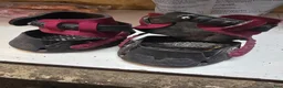 Övrig Hästutrustning hästutrustning till salu: Flex hoof boots st w 100 - Annons 2