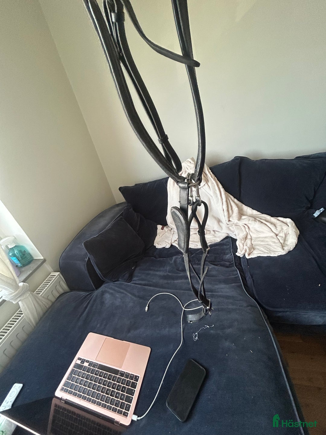 Övrig Hästutrustning hästutrustning till salu: Förbygel i Kalmar - Annons 3