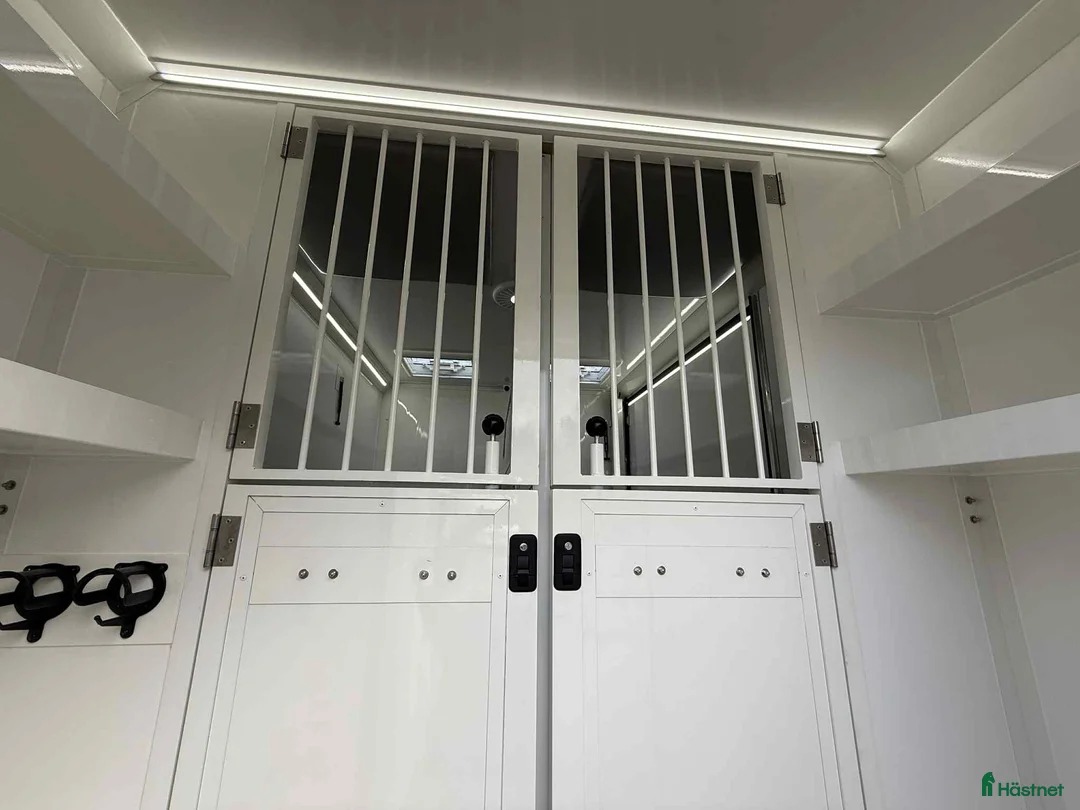 Hästlastbilar  fordon & transport till salu: NORDIC HORSE 5 STUTERI *HÖG LASTVIKT* i Köping - Annons 8