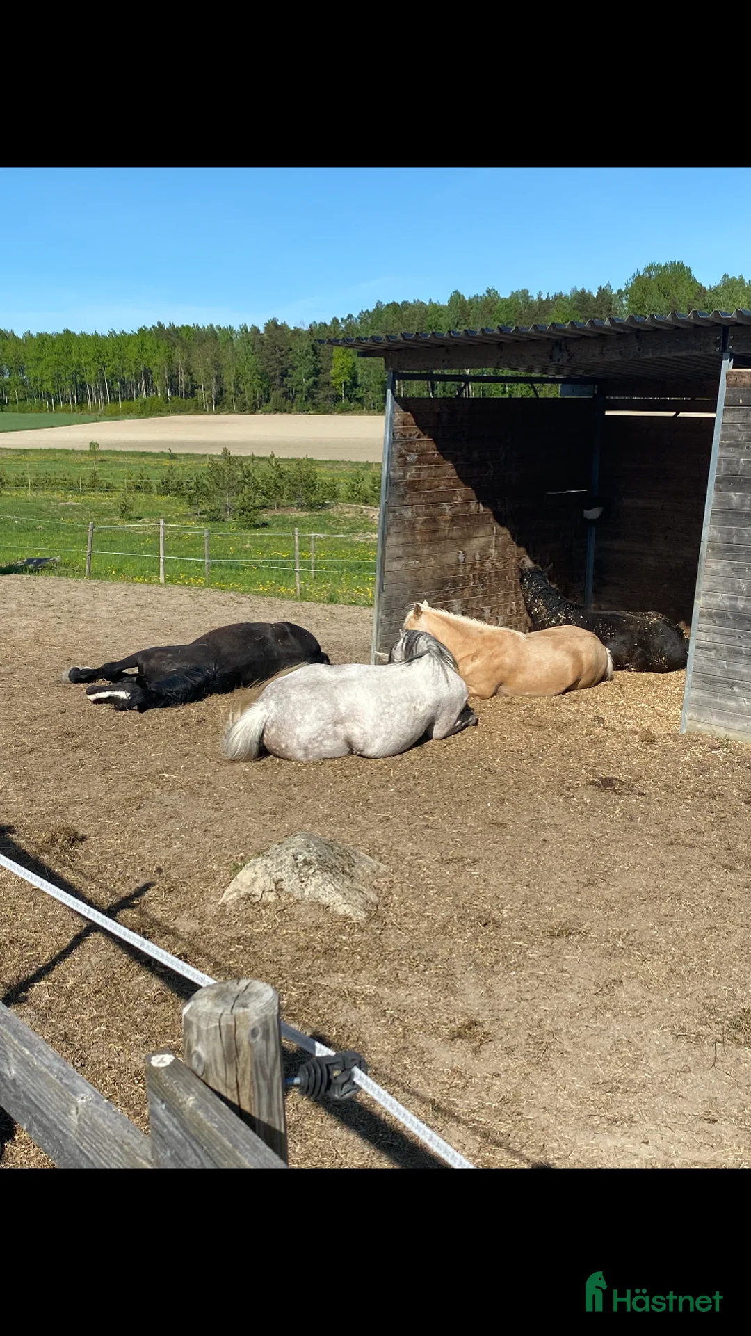  stallplats finnes: Bete/vilohem utanför Uppsala - Annons 4