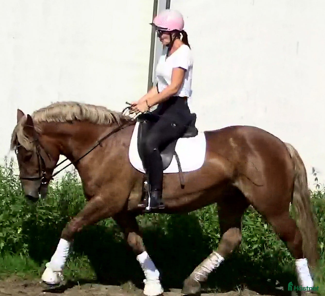  hästar The best Mother &amp; Daughter horse, dressage/jumping i Örsundsbro - Annons 4