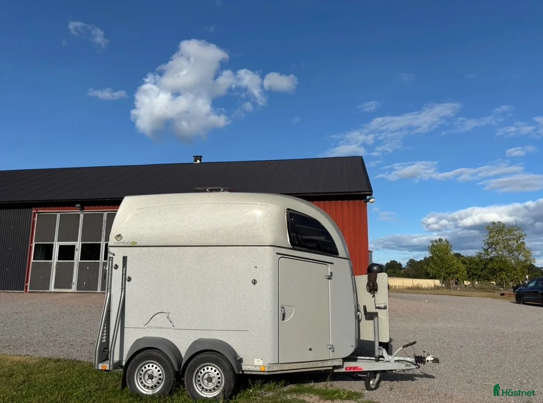 Hästtransporter  fordon & transport till salu: Böckmann Comfort - 16 - Annons 2