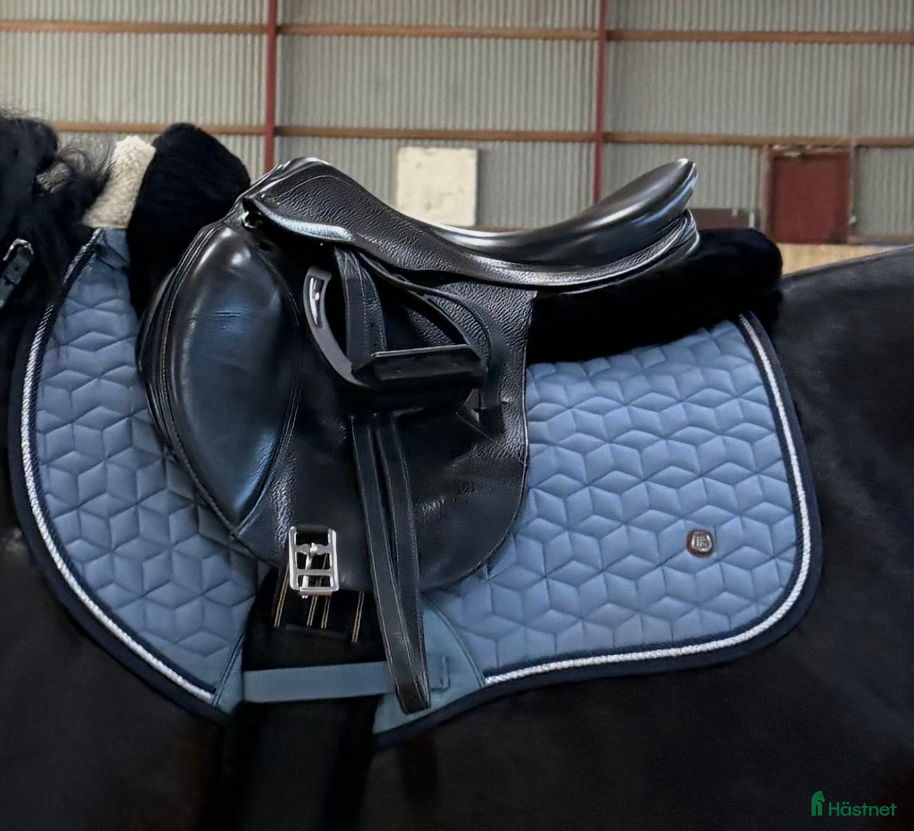 Sadlar hästutrustning Prestige Versailles hoppsadel 17”  - Annons 1