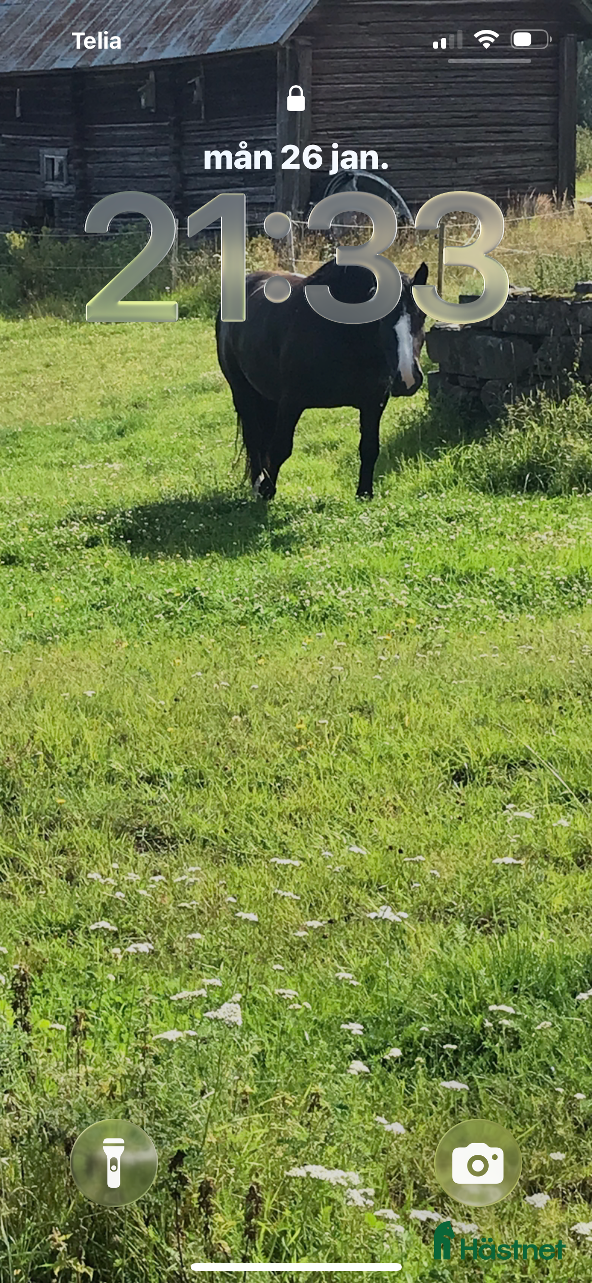  stallplats Sommarbete  - Annons 19