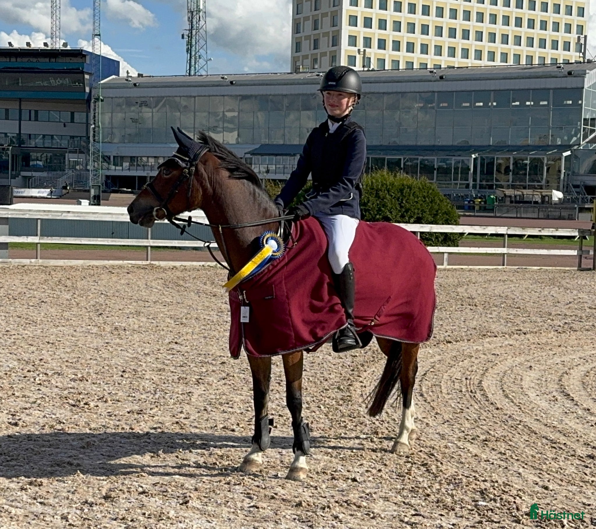  hästar B-ponny med kapacitet  - Annons 1