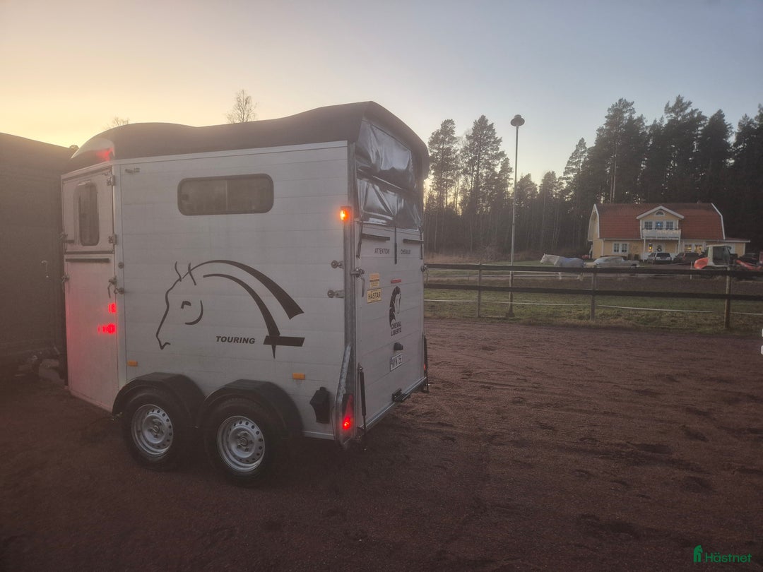 Hästtransporter  fordon & transport till salu: Cheval Touring viktad för B-kort i Falun - Annons 5