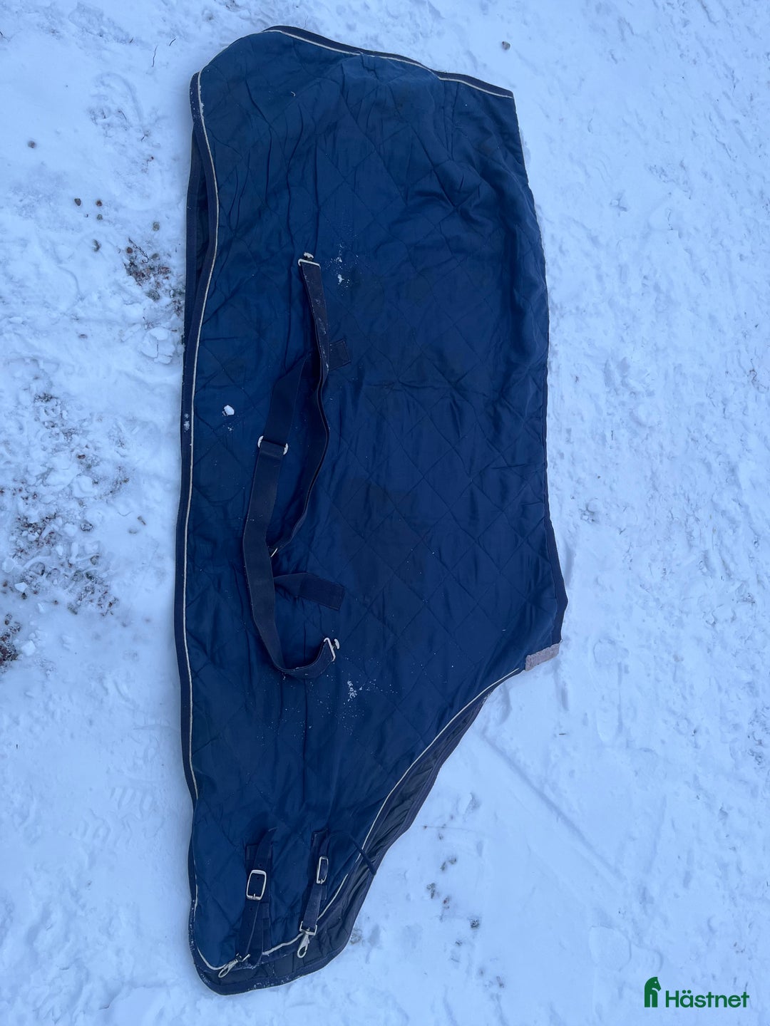 Täcken hästutrustning till salu: Täcken  i Södertälje - Annons 10