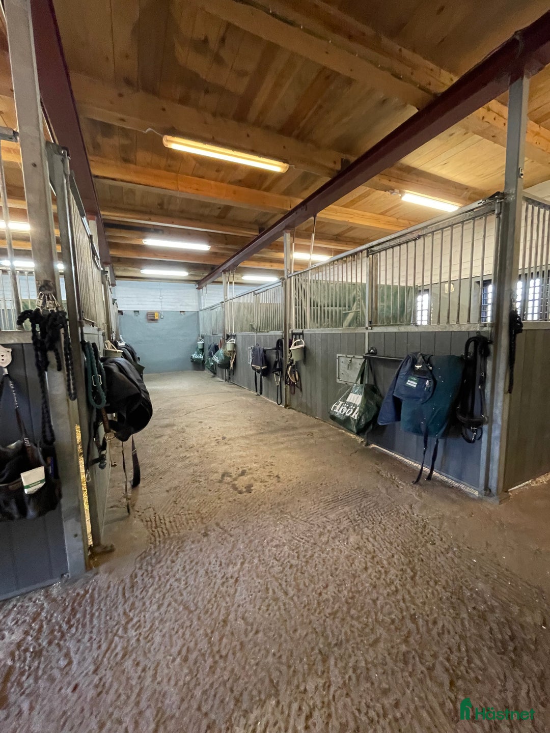 Allround hästar sökes: Söker en bästa vän<3 i Norrtälje - Annons 5