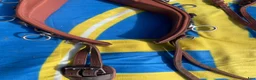 Övrig Hästutrustning hästutrustning till salu: Globus Tömkörningsgjord DeLux, tan – 2 500 kr i Norrtälje - Annons 2