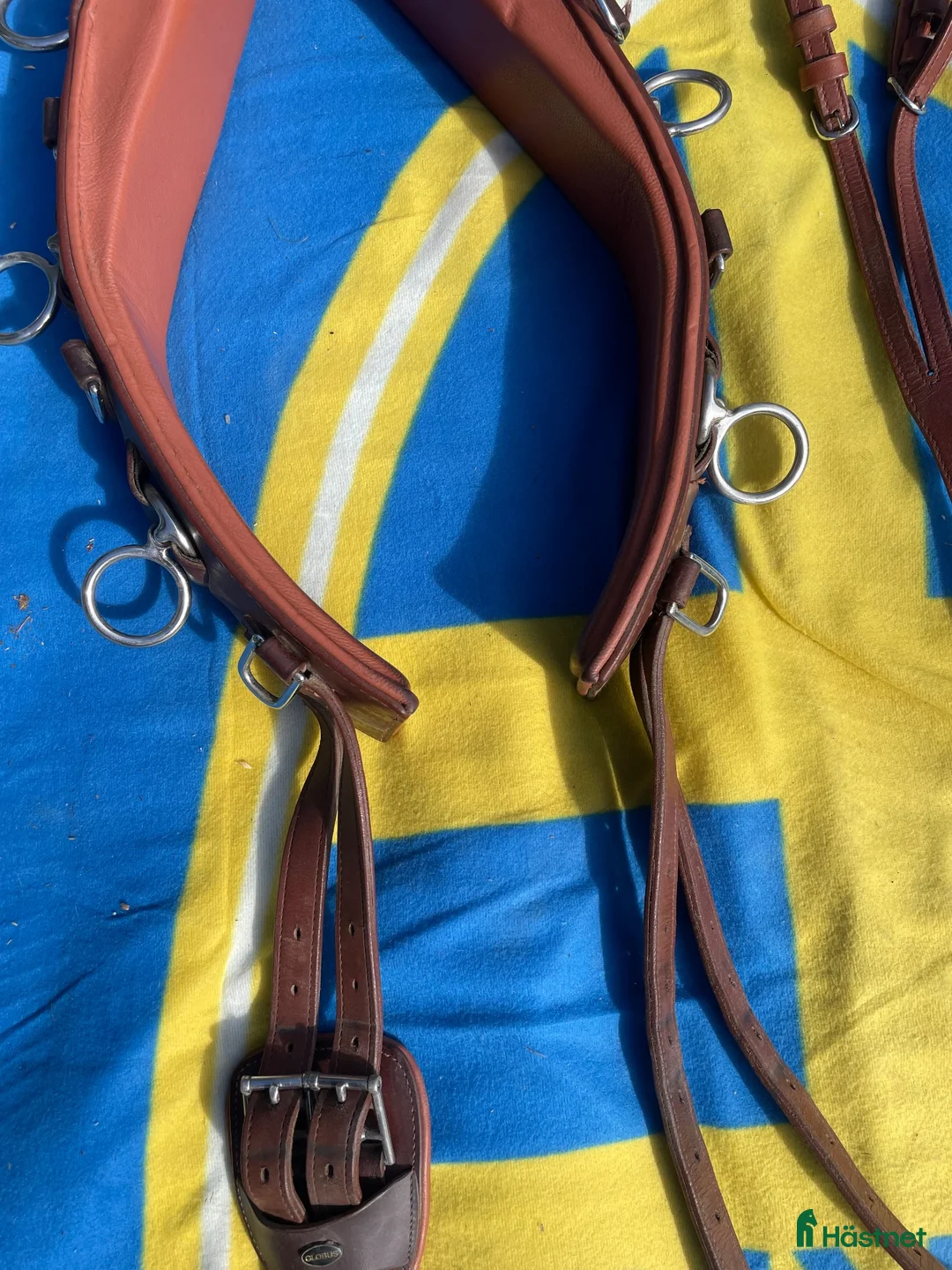 Övrig Hästutrustning hästutrustning till salu: Globus Tömkörningsgjord DeLux, tan – 2 500 kr i Norrtälje - Annons 2