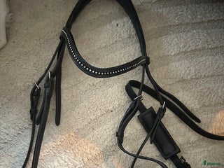 Träns hästutrustning till salu: Träns i Järfälla - Annons 1