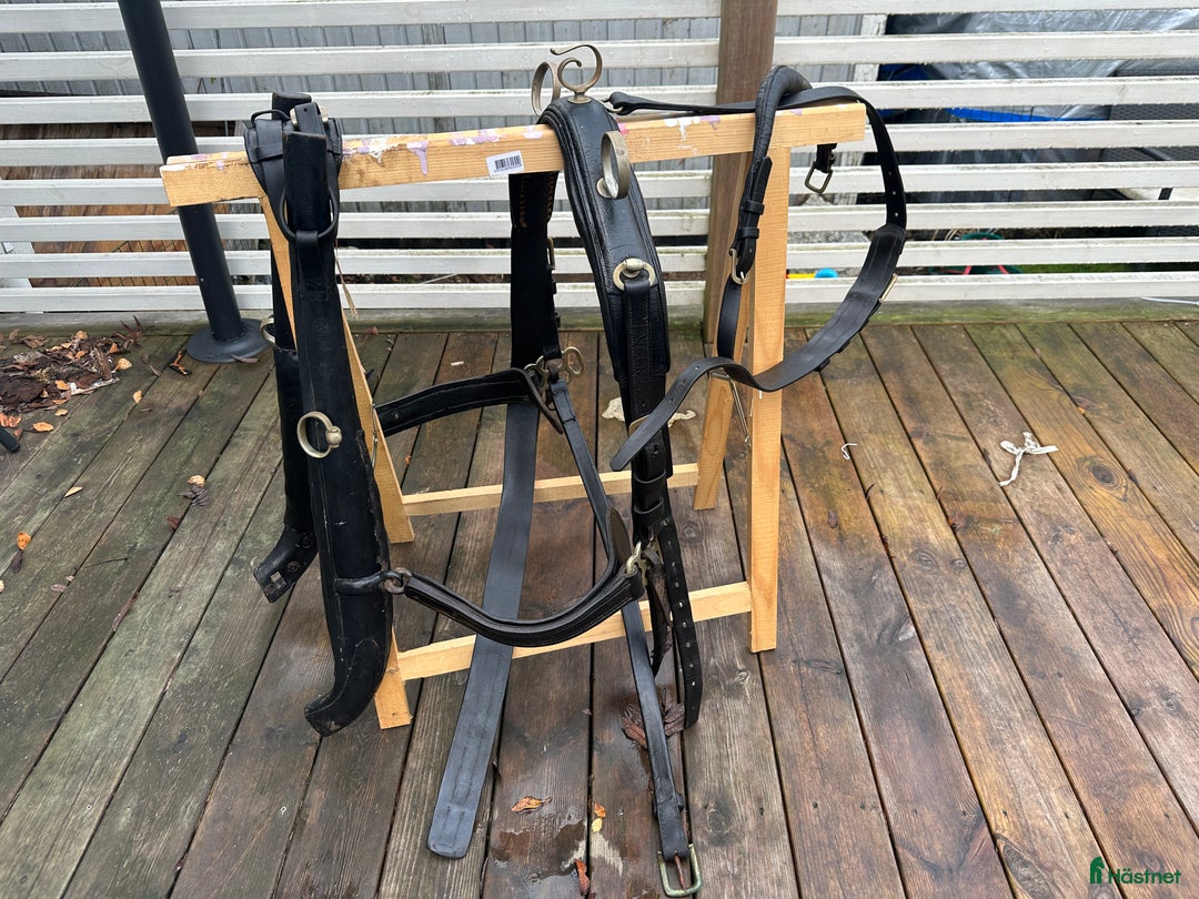 Körselar körning till salu: Loksele / kyrkosele  i Malmbäck - Annons 2