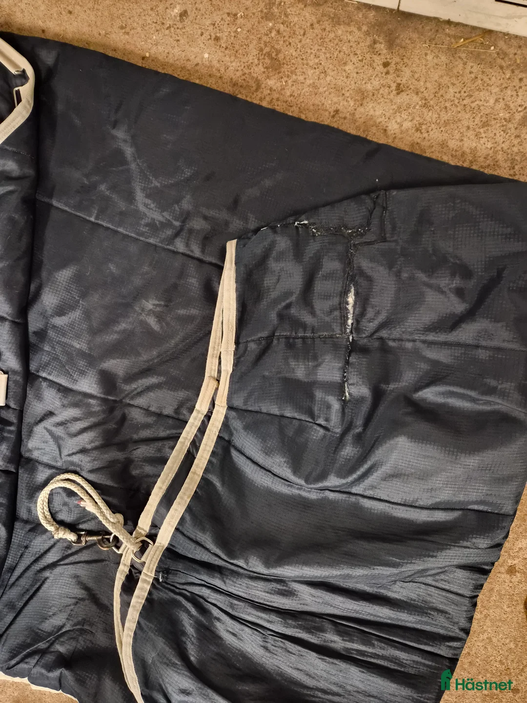 Täcken hästutrustning till salu: Amigo Insulator 200g i Växjö - Annons 3