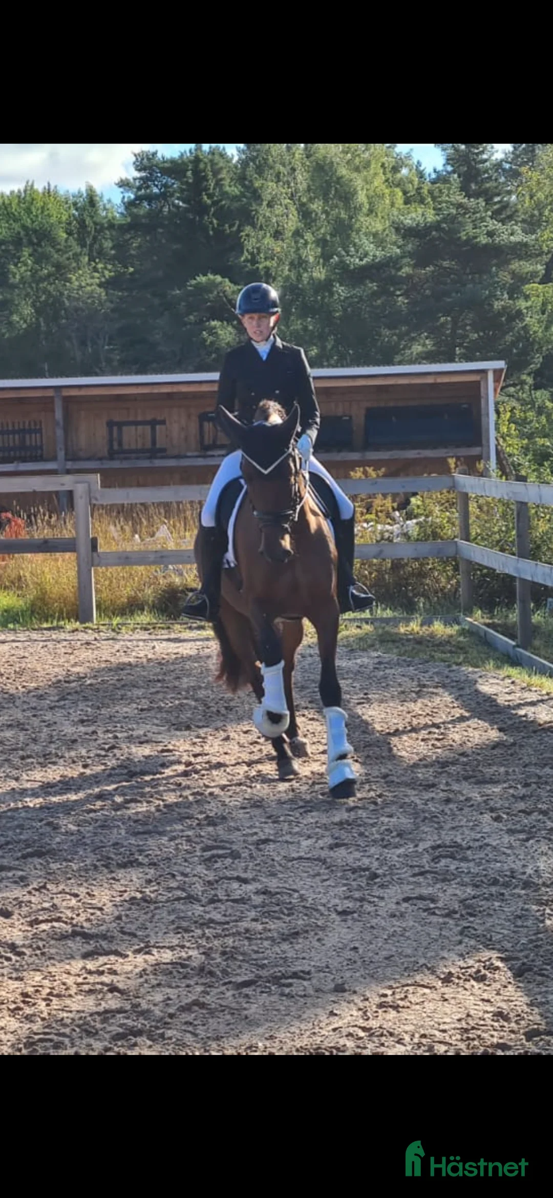  hästservice finnes: Utbildning och problemlösning  - Annons 3